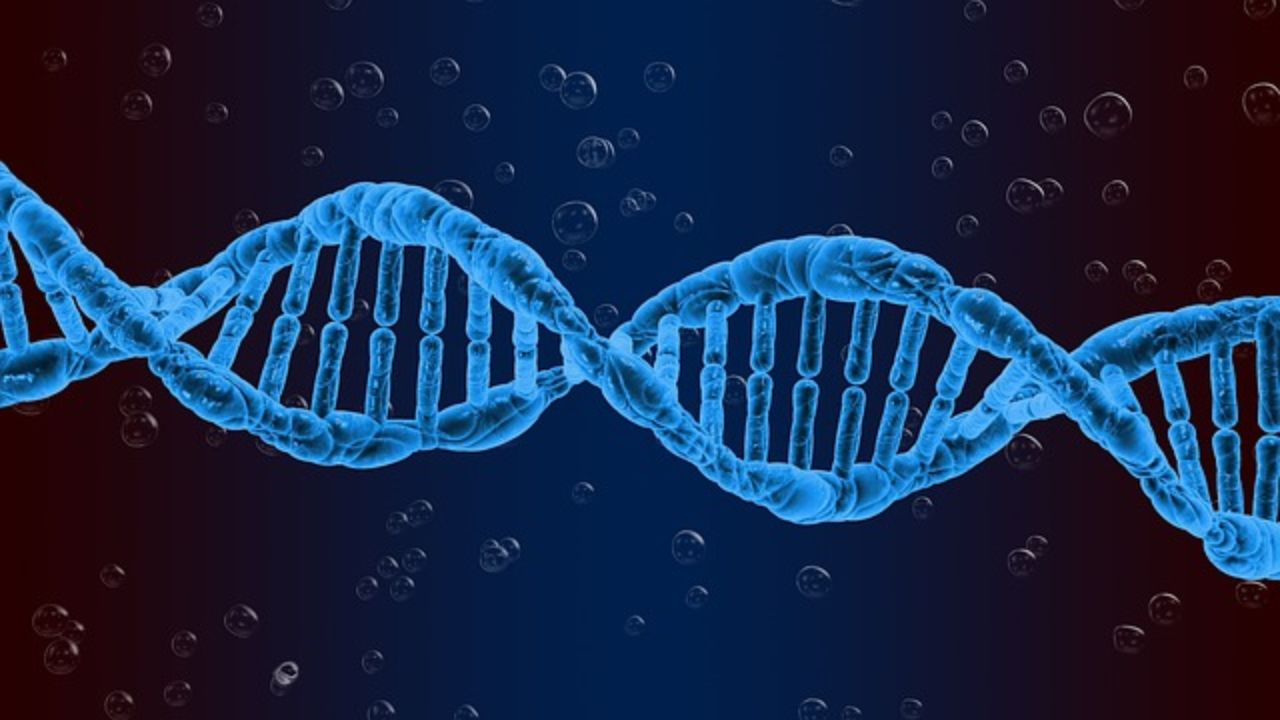 Usthadian Academy / BHU Launched Human DNA Bank Under Make In India Initiative | 05 feb 2024 Usthadian Academy / BHU Launched Human DNA Bank Under Make In India Initiative