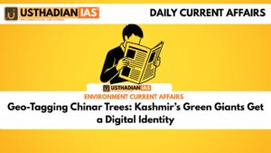 Geo-Tagging Chinar Trees: Kashmir’s Green Giants Get a Digital Identity