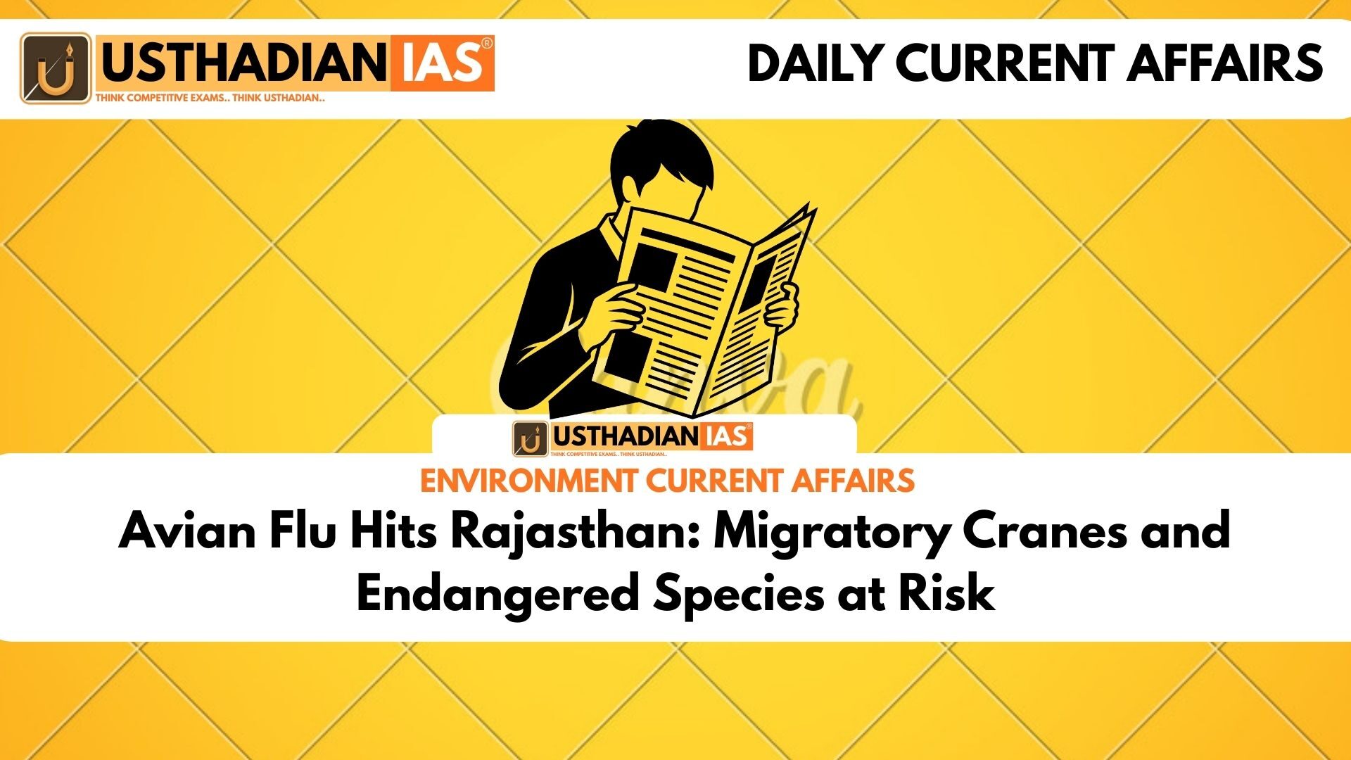 Avian Flu Hits Rajasthan: Migratory Cranes and Endangered Species at Risk