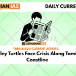 Olive Ridley Turtles Face Crisis Along Tamil Nadu’s Coastline
