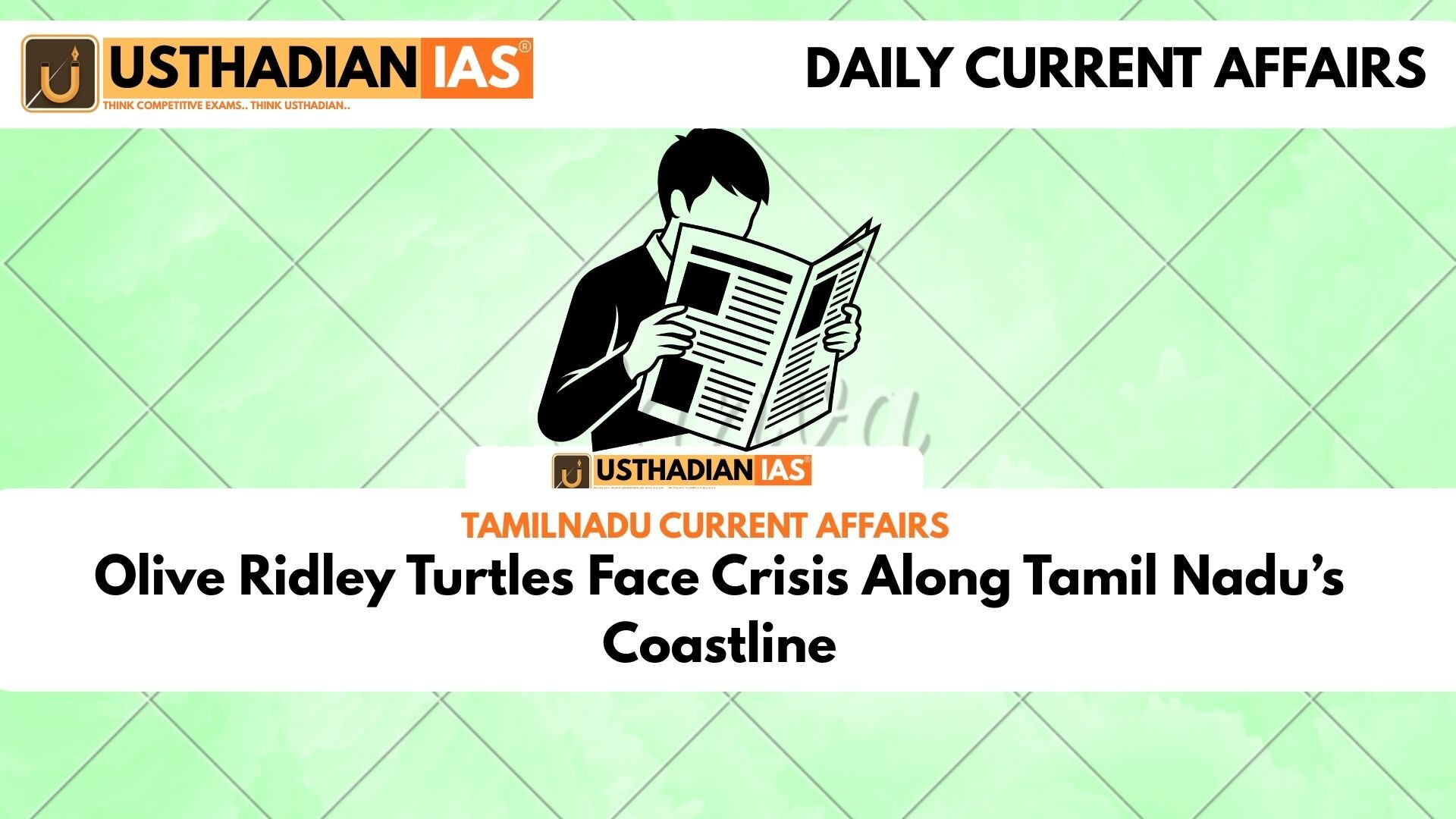 Olive Ridley Turtles Face Crisis Along Tamil Nadu’s Coastline