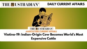 Viatina-19: Indian-Origin Cow Becomes World’s Most Expensive Cattle