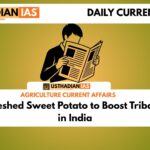 Orange-Fleshed Sweet Potato to Boost Tribal Nutrition in India