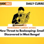 India Faces New Threat to Beekeeping: Small Hive Beetle Discovered in West Bengal
