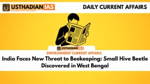 India Faces New Threat to Beekeeping: Small Hive Beetle Discovered in West Bengal