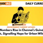 Blackbuck Numbers Rise in Chennai’s Guindy National Park, Signalling Hope for Urban Wildlife