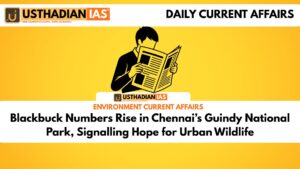 Blackbuck Numbers Rise in Chennai’s Guindy National Park, Signalling Hope for Urban Wildlife