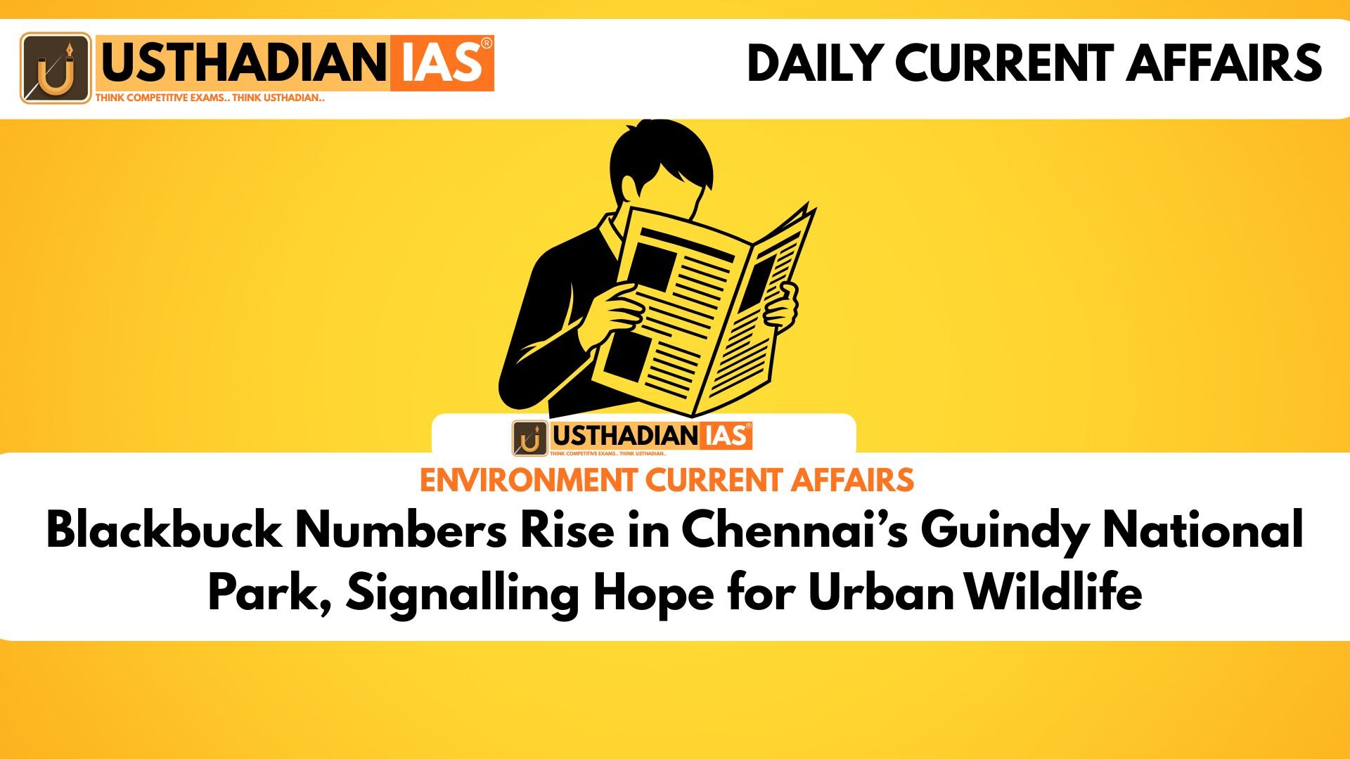 Blackbuck Numbers Rise in Chennai’s Guindy National Park, Signalling Hope for Urban Wildlife