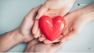 Tamil Nadu Leads the Nation in Deceased Organ Donations in 2024