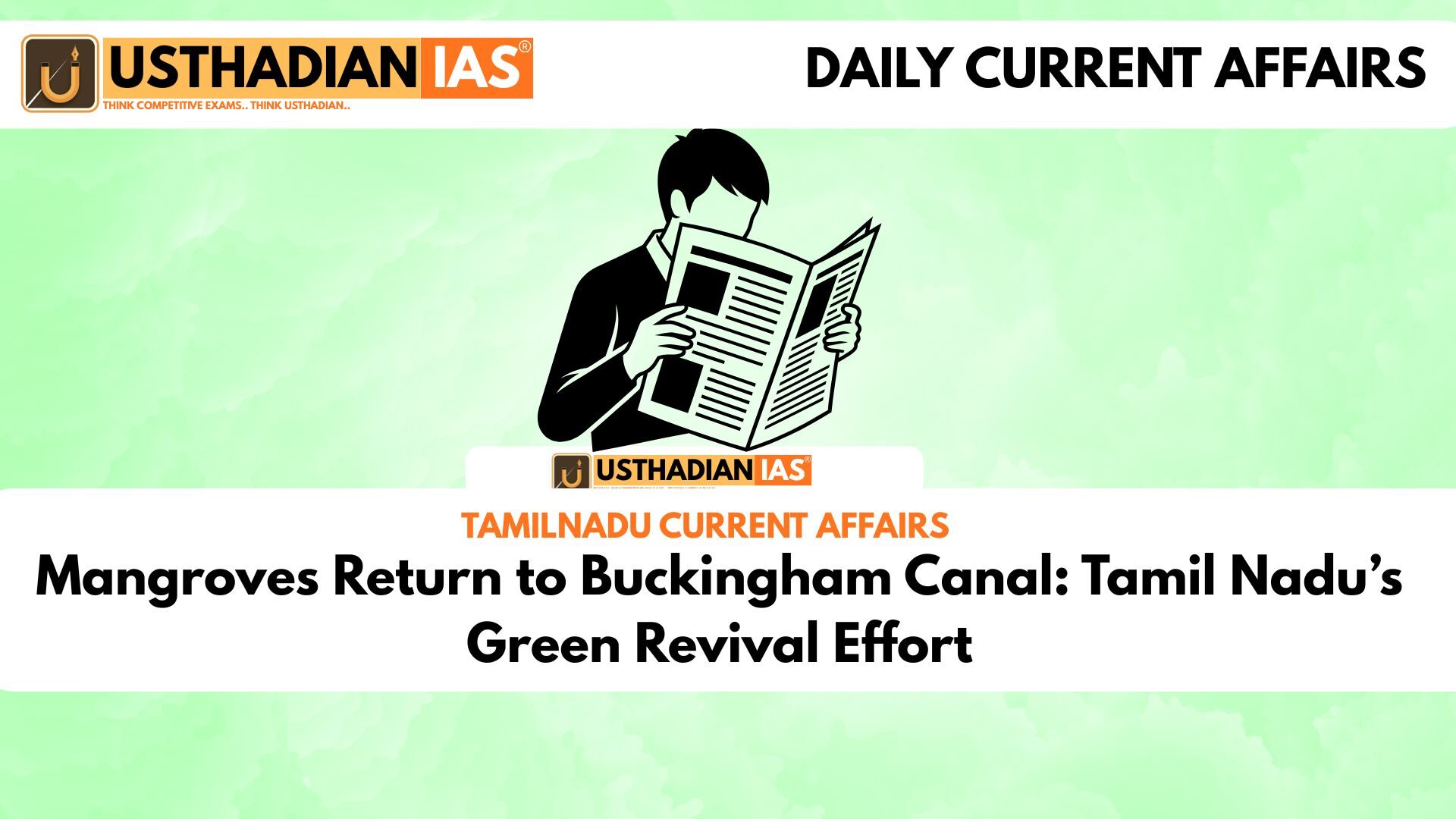 Mangroves Return to Buckingham Canal: Tamil Nadu’s Green Revival Effort