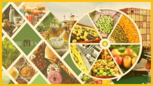 India’s 8th Edition of NPOP: A New Chapter in Organic Farming and Global Trade