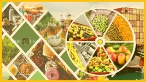 India’s 8th Edition of NPOP: A New Chapter in Organic Farming and Global Trade