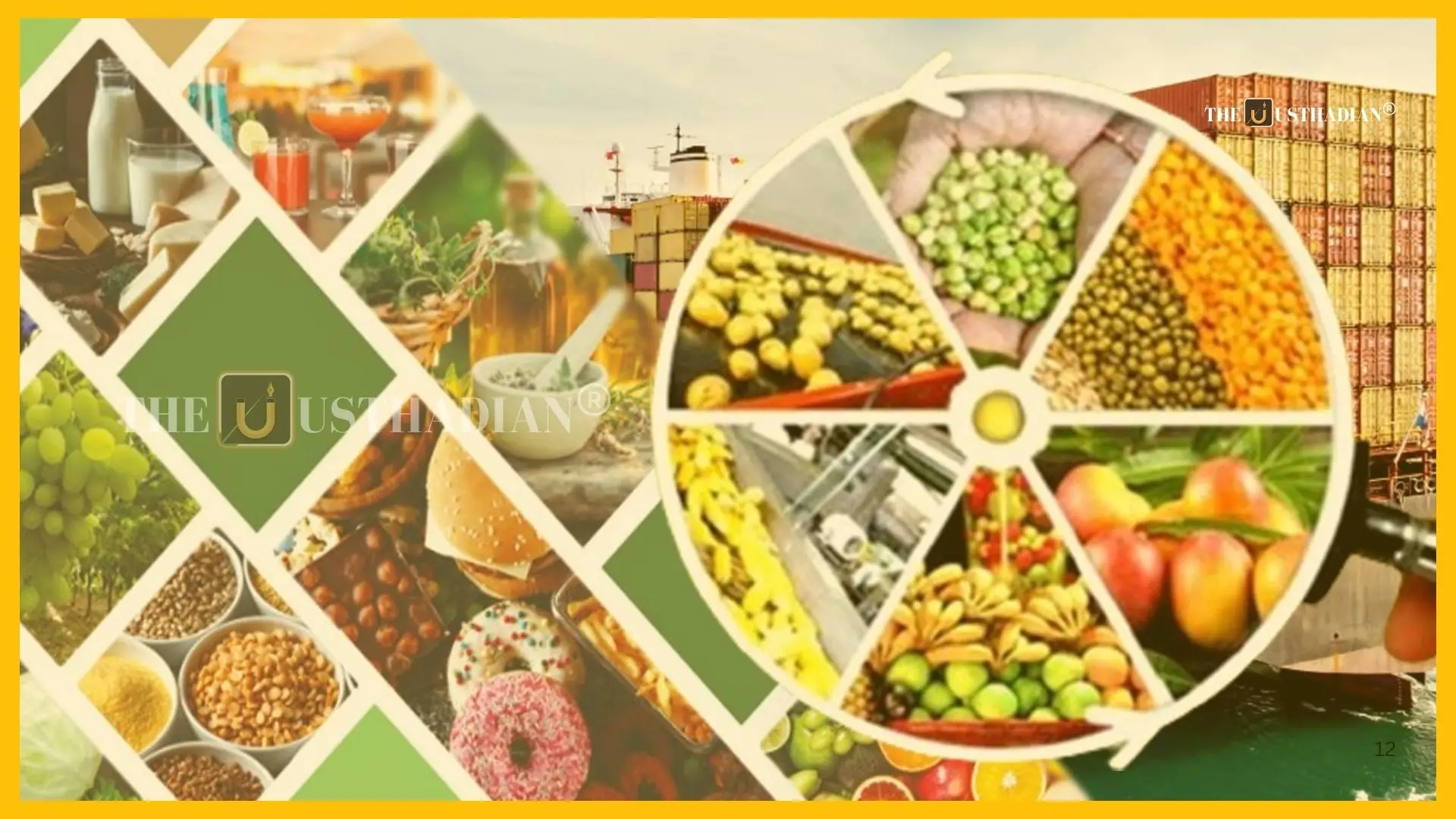 India’s 8th Edition of NPOP: A New Chapter in Organic Farming and Global Trade