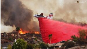 Pink Fire Retardants: The Fiery Debate Behind the Brightest Line of Defence