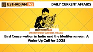 Bird Conservation in India and the Mediterranean: A Wake-Up Call for 2025