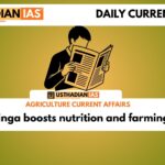 PKM1 Moringa boosts nutrition and farming economy