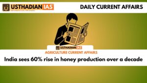 India sees 60% rise in honey production over a decade