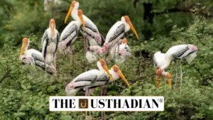 Madhya Pradesh Launches Dr. Bhimrao Ambedkar Wildlife Sanctuary