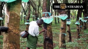 India Rolls Out iSNR to Promote Global Standards in Rubber Sustainability