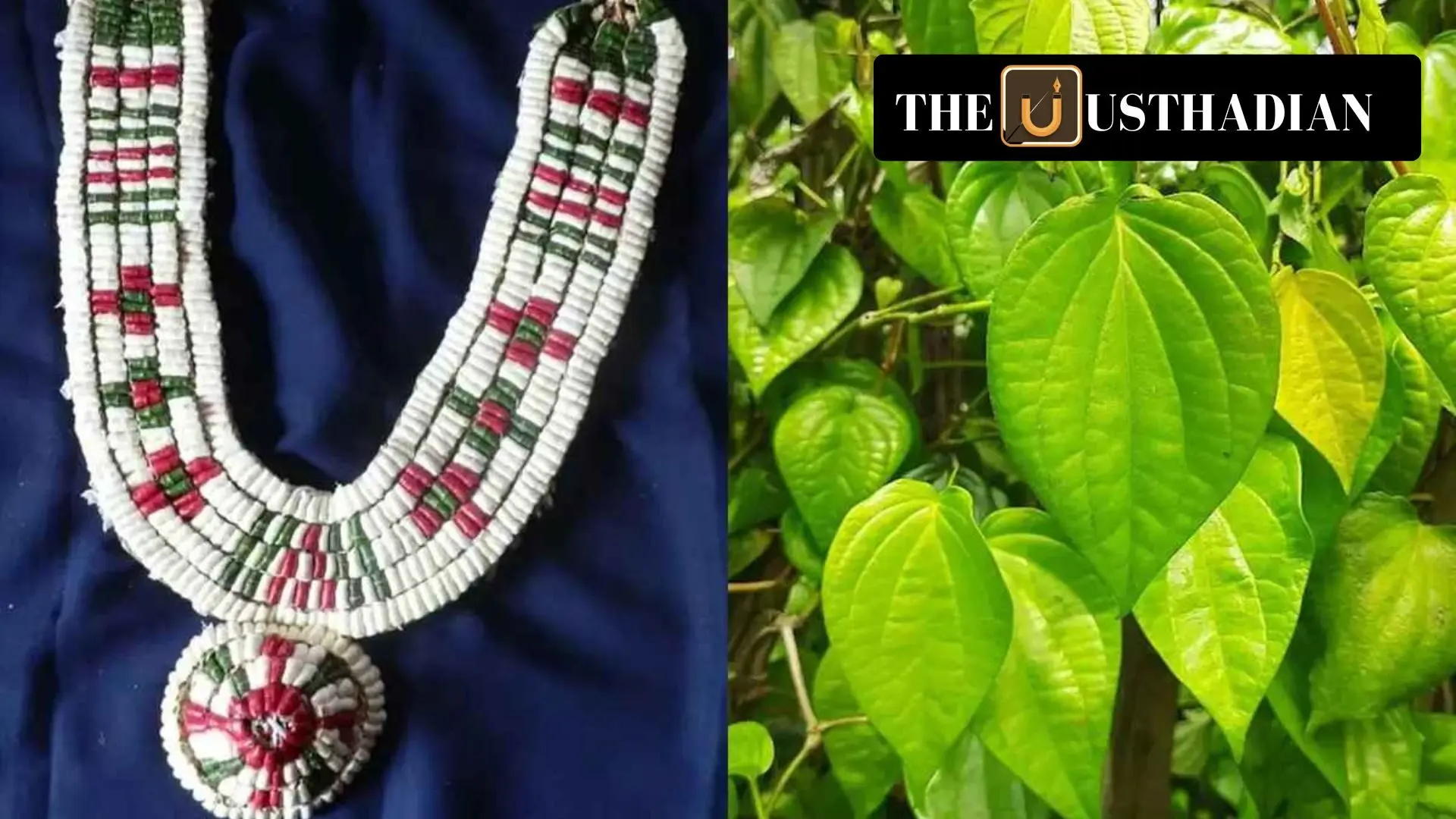 Kumbakonam Betel Leaf and Thovalai Garland Receive GI Tag, Showcasing Tamil Nadu’s Rich Cultural Heritage