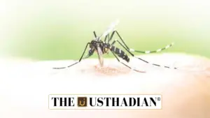 India’s Malaria Burden in 2024: Progress in Death Reduction, Concerns Over Rising Infections
