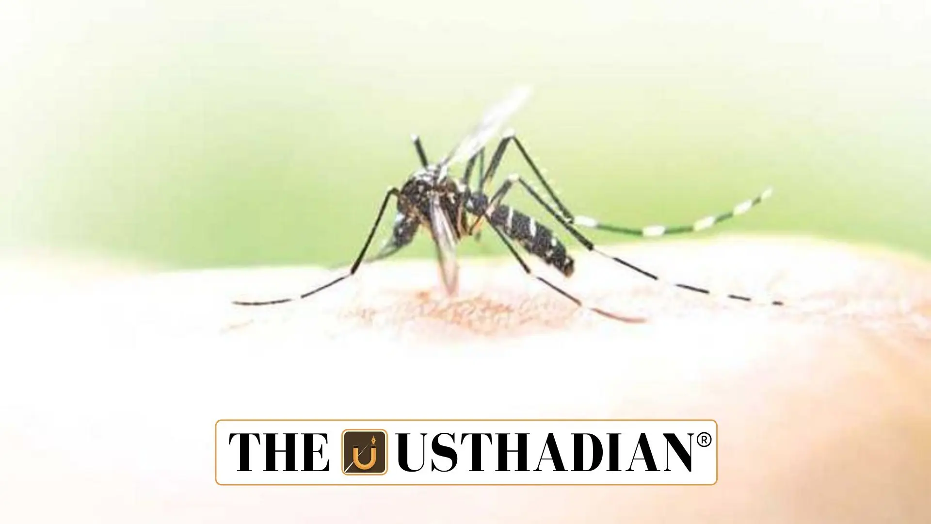 India’s Malaria Burden in 2024: Progress in Death Reduction, Concerns Over Rising Infections