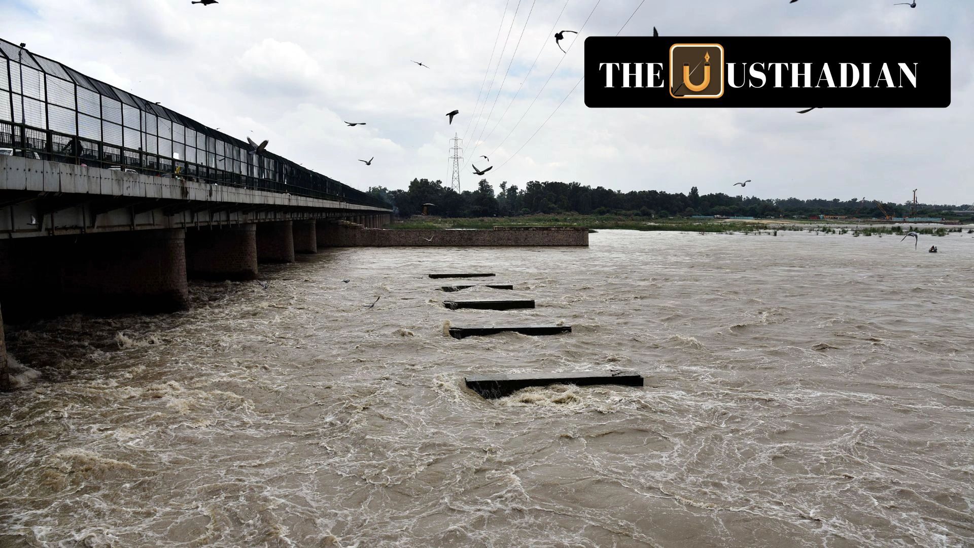 Ammonia Pollution in Yamuna: Delhi's Water Crisis Deepens