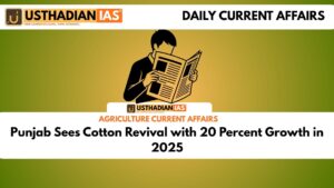 Punjab Sees Cotton Revival with 20 Percent Growth in 2025