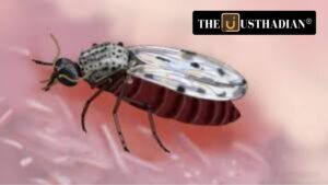 Dangerous Culicoides Flies Detected in Andaman and Nicobar Islands