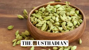 Fresh Insights into the Cardamom Clan: Scientific Breakthroughs and Biodiversity Protection
