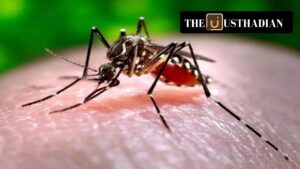 Zika Virus Outbreak in Pune: Rising Cases and India's Public Health Response