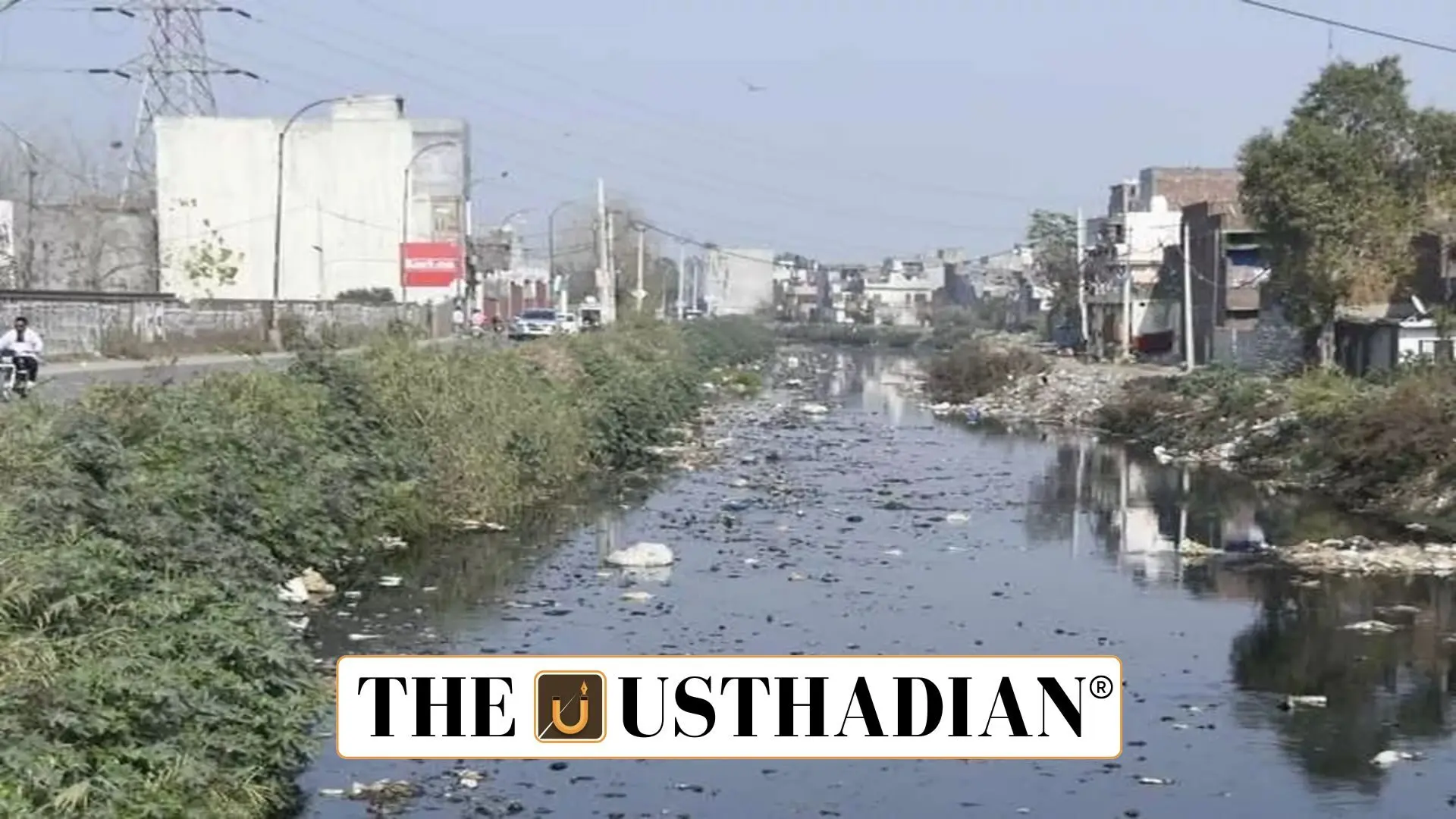 Tamil Nadu's Rivers Under Pollution Watch: CPCB Flags Critical Stretches
