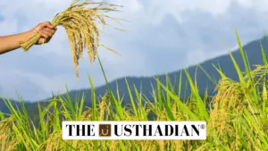 Pradhan Mantri Fasal Bima Yojana Completes Nine Years: A Lifeline for Indian Farmers