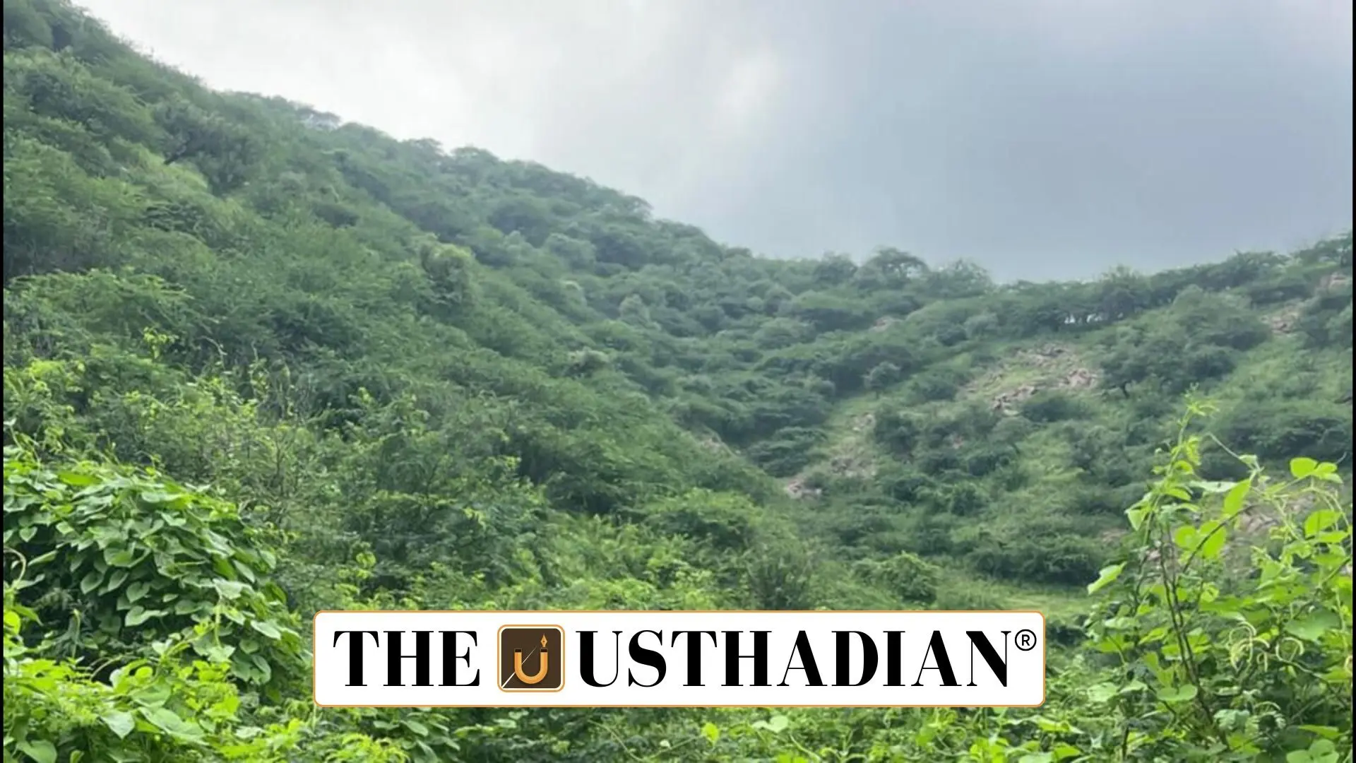 Haryana’s Aravali Safari Park Plan Triggers Conservation Debate