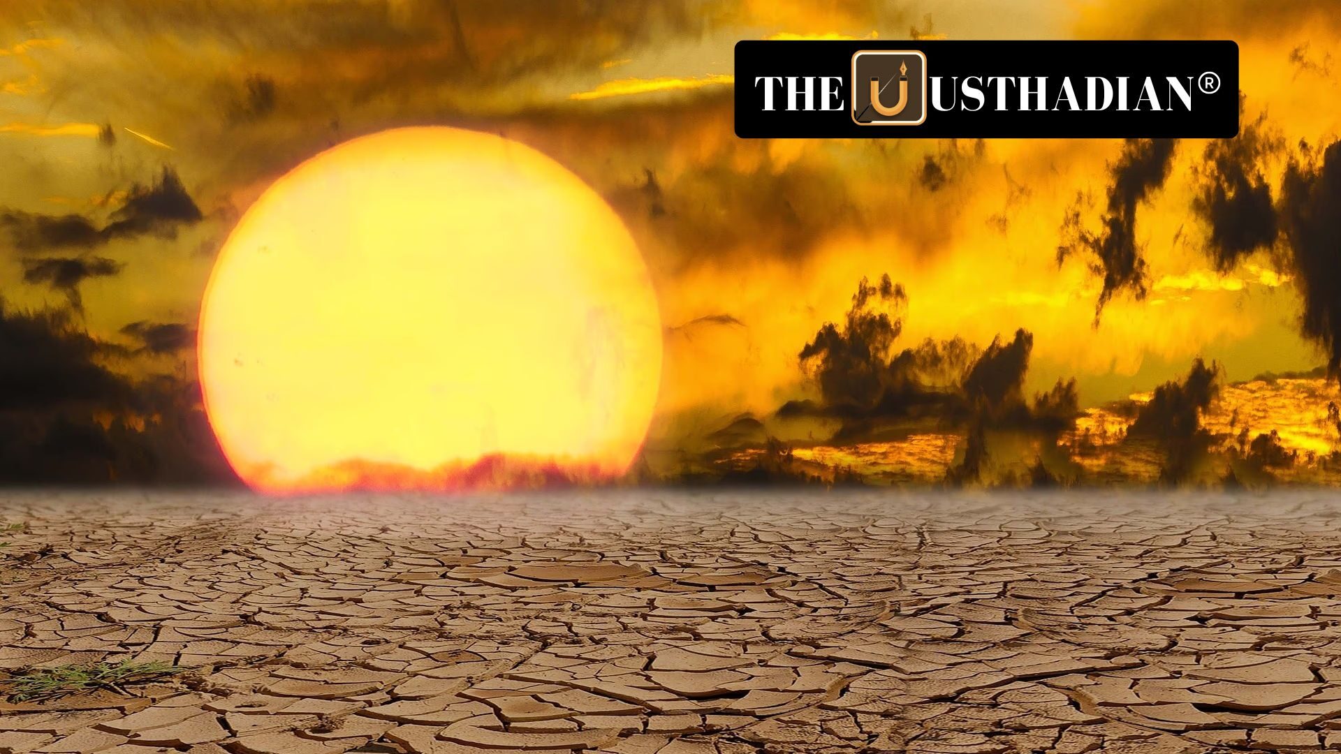 2024: A Year of Unprecedented Heatwaves and Extreme Weather in India