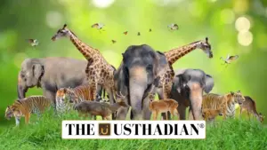 World Wildlife Day 2025: Strengthening Conservation Through Financial Commitment