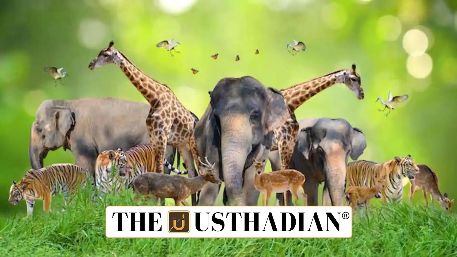 World Wildlife Day 2025: Strengthening Conservation Through Financial Commitment