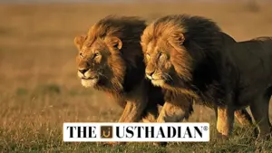 Project Lion: India’s Bold Step to Protect Asiatic Lions