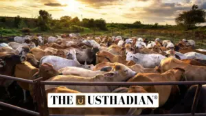 Pashu Aushadhi Initiative: Affordable Veterinary Medicines for India’s Farmers