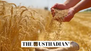 Hazardous Selenium Levels Found in PDS Wheat from Punjab and Haryana