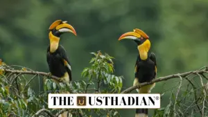 Tamil Nadu’s New Wildlife Conservation Drive: From Hornbills to Marine Protection