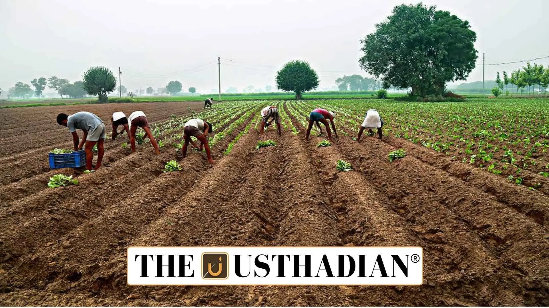 SLUSI Launches Digital Soil Fertility Mapping for Sustainable Agriculture