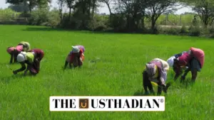 Tamil Nadu Agriculture Budget 2025: A Comprehensive Push for Sustainable and Inclusive Farming