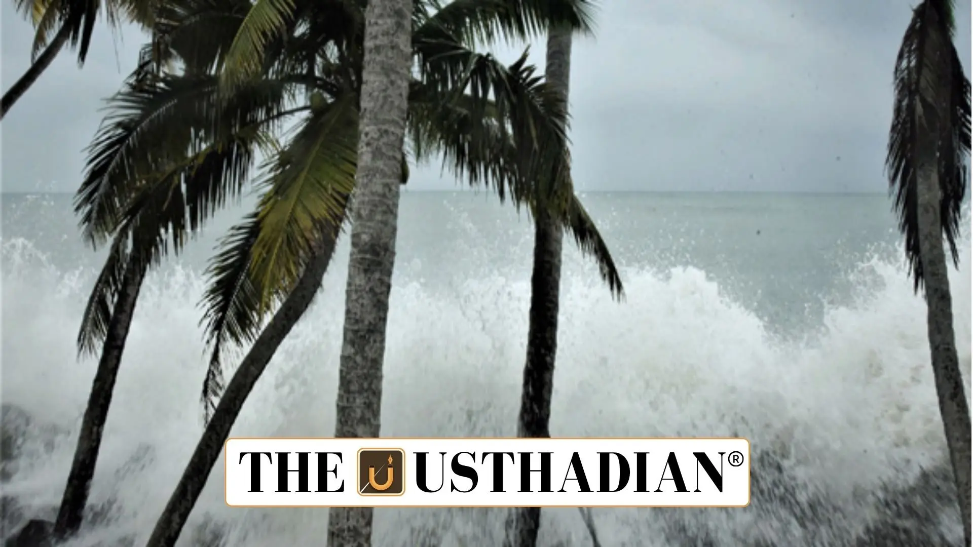 Cyclone Prediction Breakthrough: INCOIS Enhances India’s Coastal Resilience
