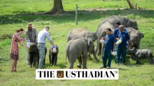 National Wildlife Health Policy: India’s One Health Approach After COVID-19