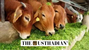 Revised Rashtriya Gokul Mission 2025: Boosting Dairy Sector & Indigenous Breeds