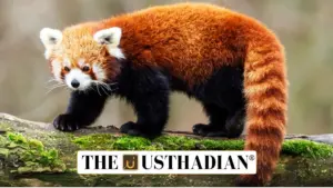 Darjeeling Zoo Sets Up India’s First DNA Vault for Himalayan Wildlife