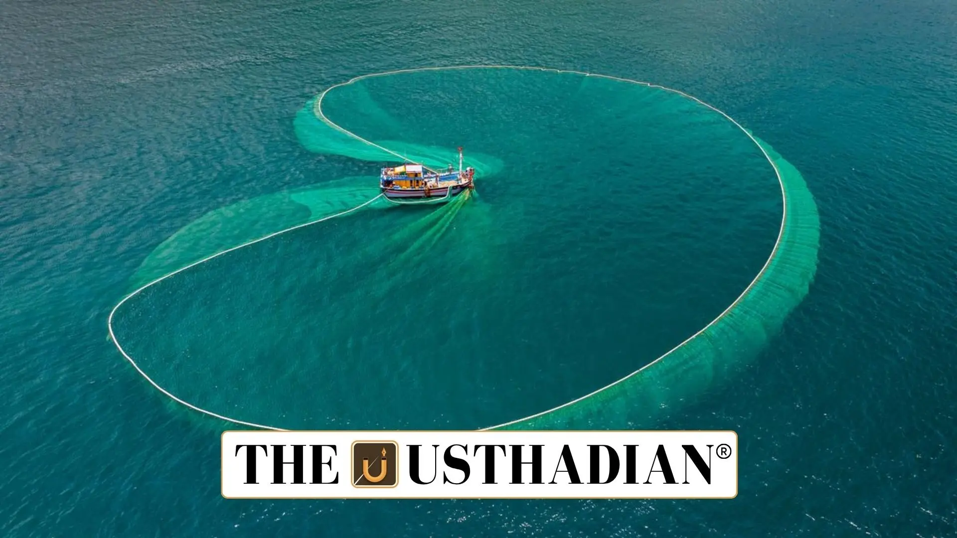 India’s Fight Against Light Fishing: Saving Marine Life and Fisher Livelihoods