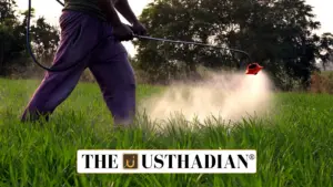 Chlorpyrifos and the BRS Conventions: A Global Call to Ban Hazardous Pesticides