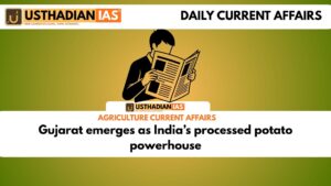 Gujarat emerges as India’s processed potato powerhouse